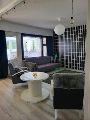 Apartmentmuikku Siilinjärvi